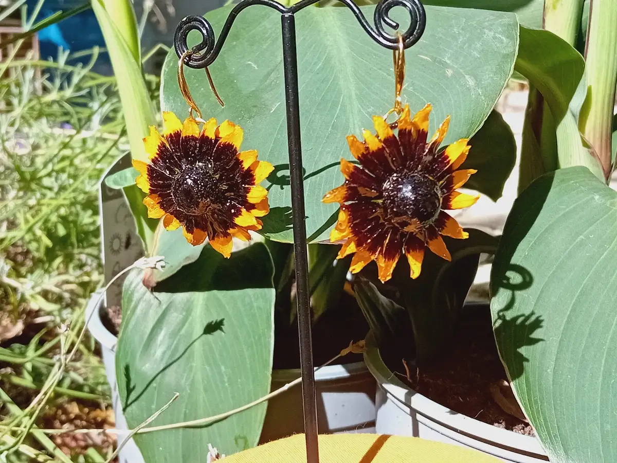 Boucles fleurs de Rudbeckia
