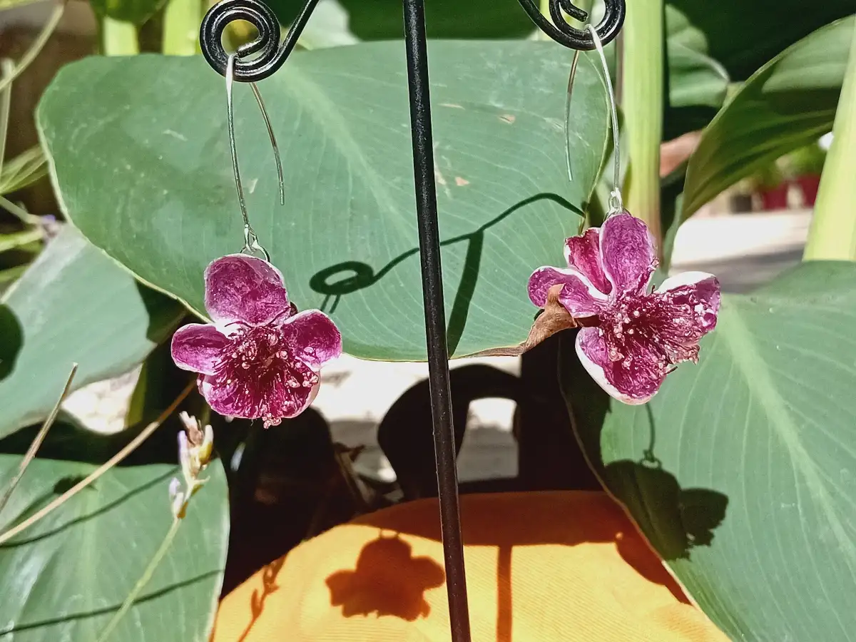 Boucles d'oreilles fleurs de Fejoa