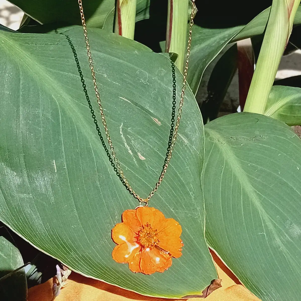 Collier cosmos