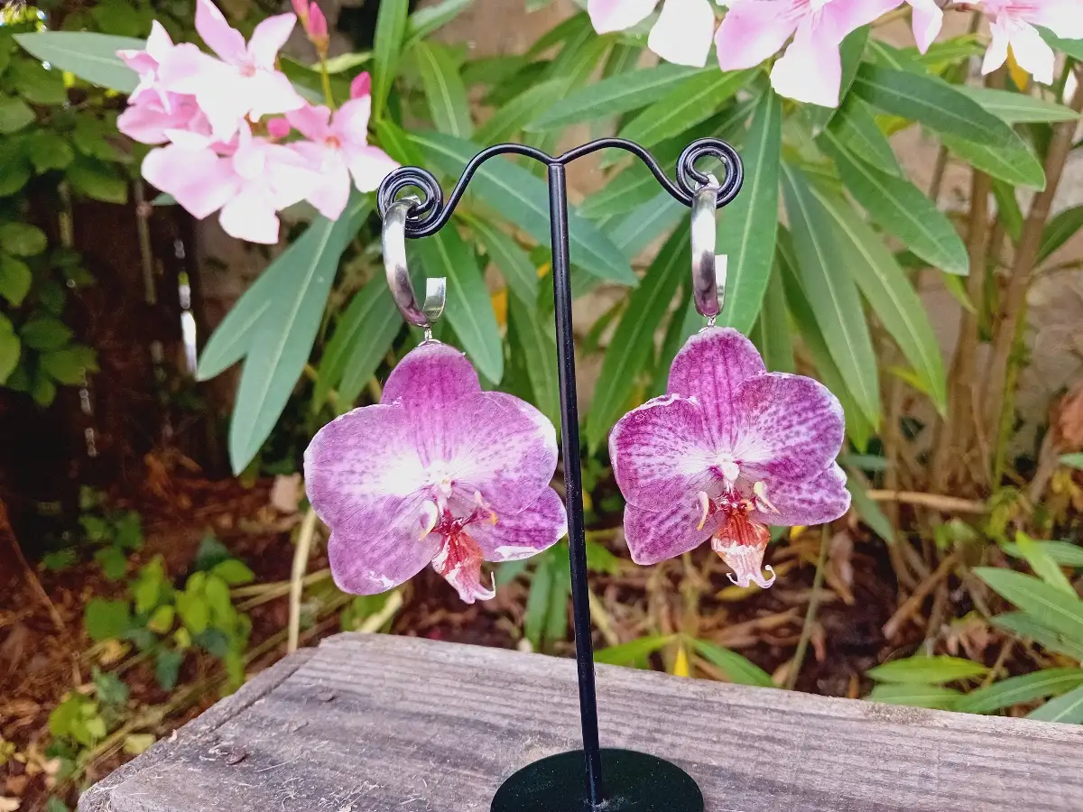 Boucles orchidées avec anneaux