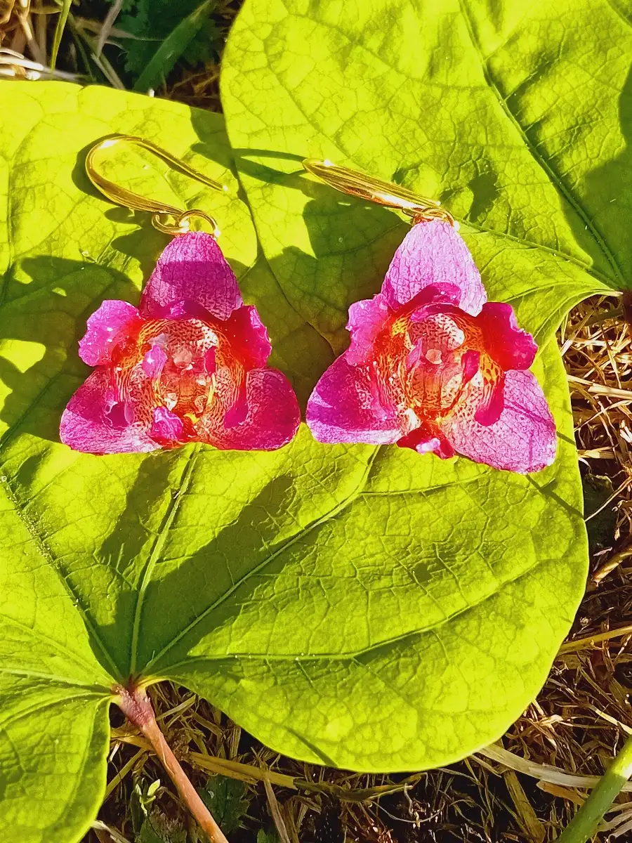 Boucles orchidées, phalaenospis violettes