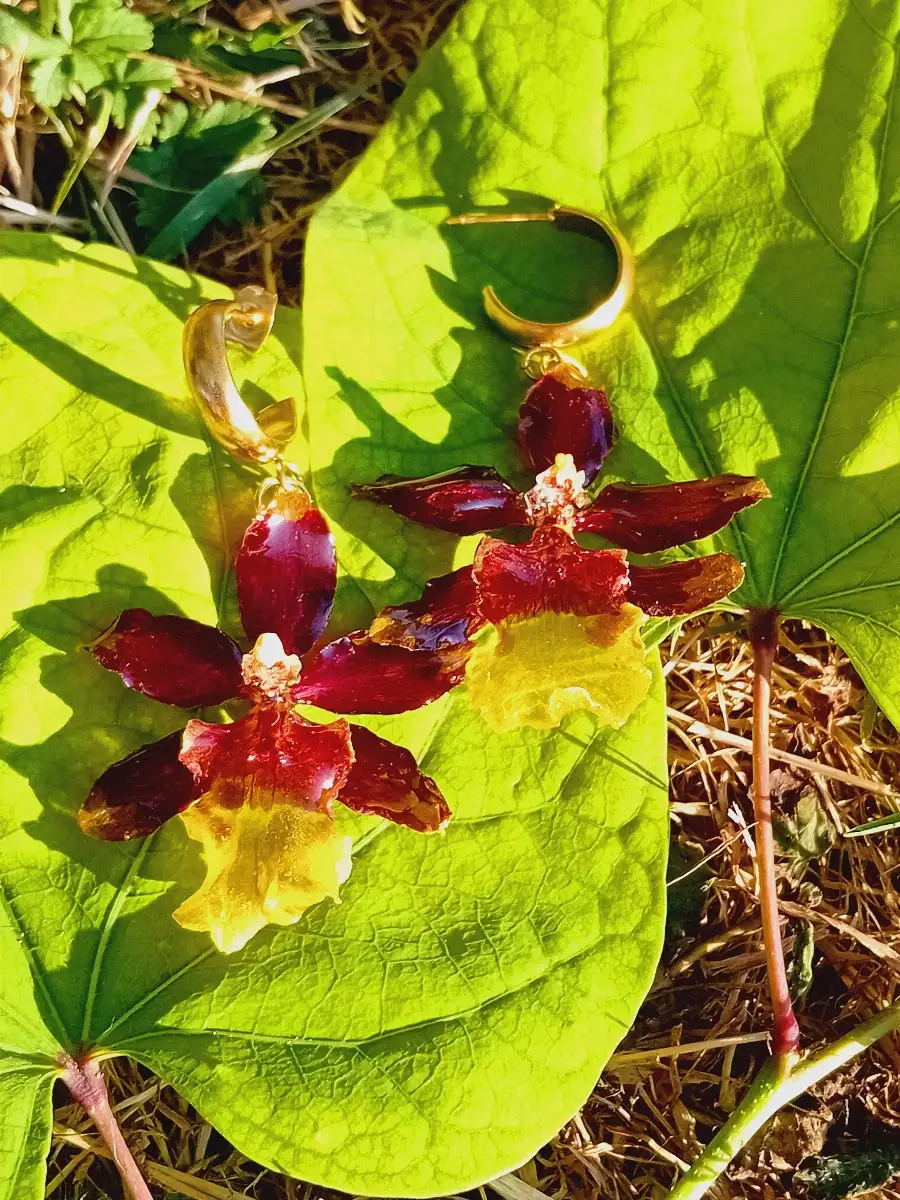 Boucles cambria
