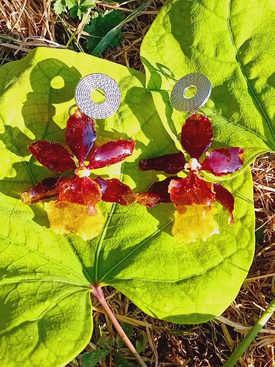 Boucles d'oreilles cambria argentées