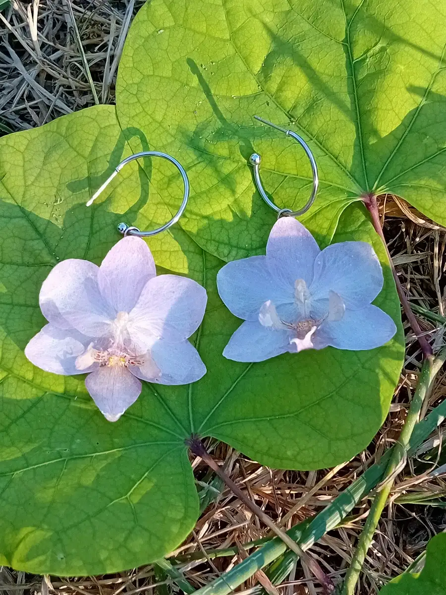 Boucles d'oreilles phalaenopsis