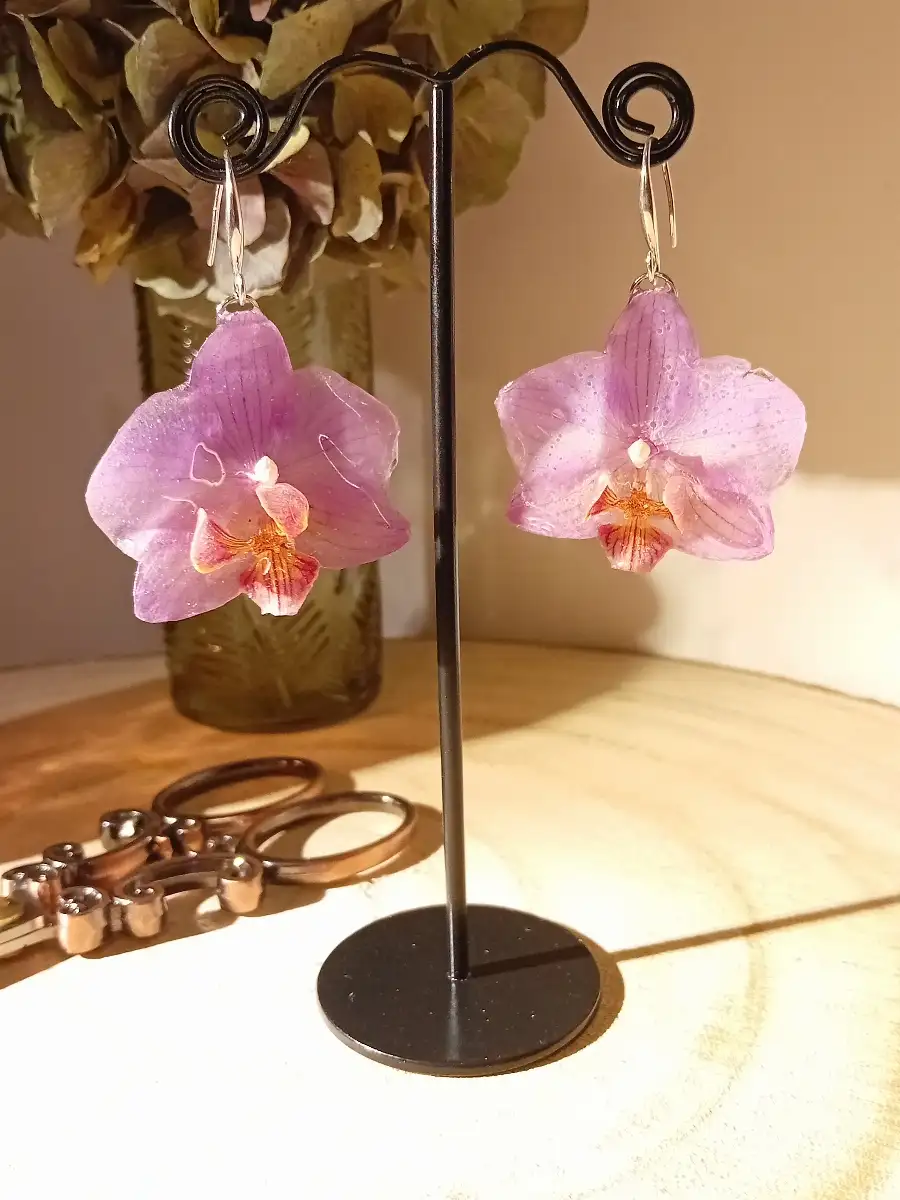 Fleurs de Phalaenopsis violettes roses