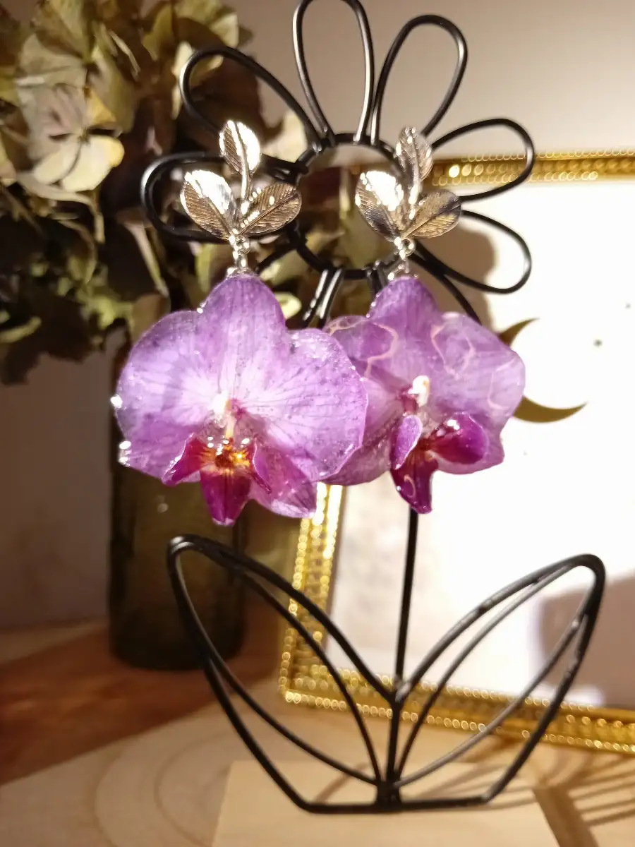 Boucles orchidées, phalaenospis violettes claires