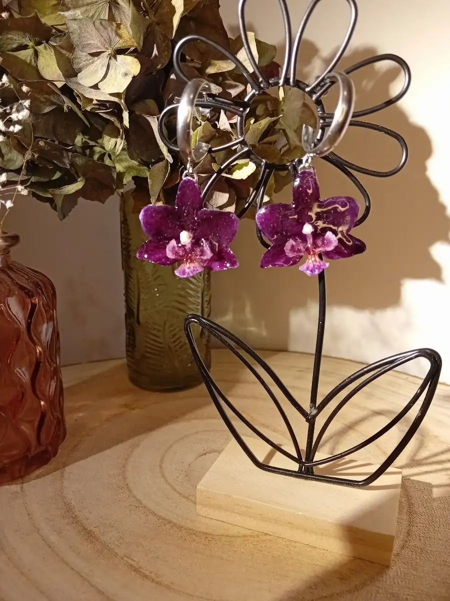 Boucles orchidées, phalaenospis violettes anneaux